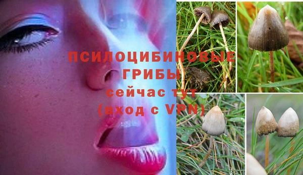 не бодяженный Надым