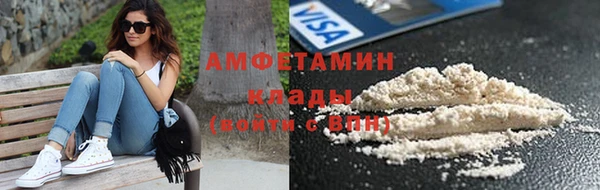 твердый Кирсанов