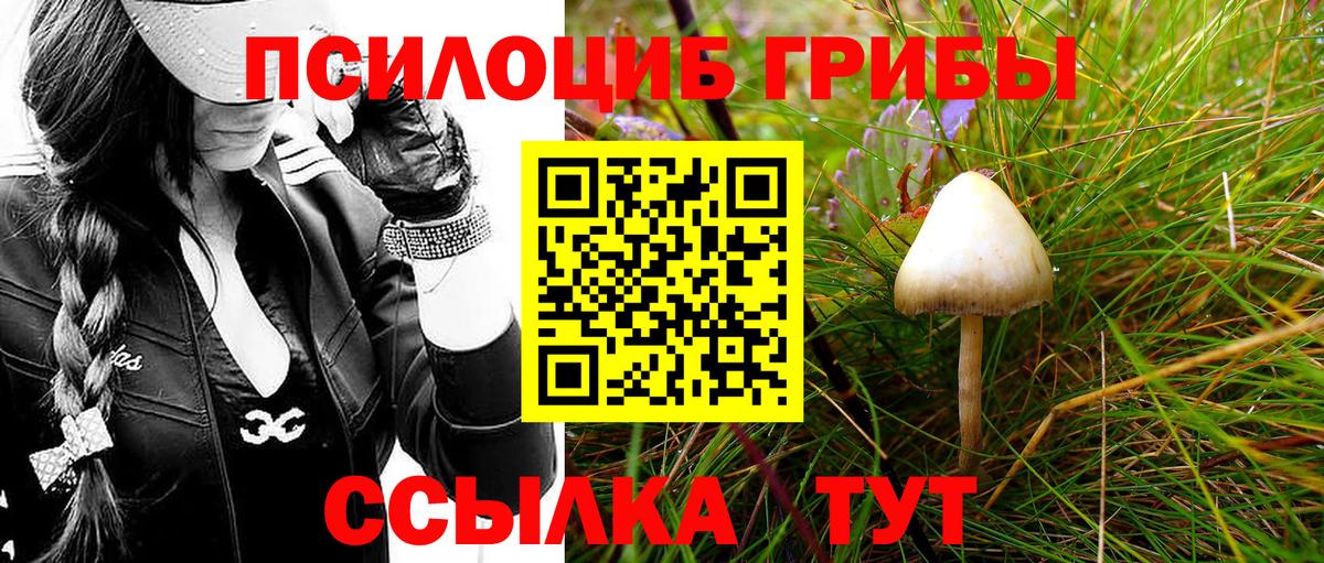 Псилоцибиновые грибы ЛСД Малоярославец