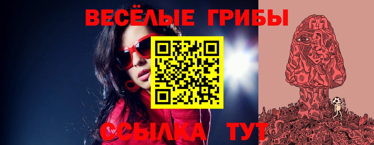 APVP Малоярославец