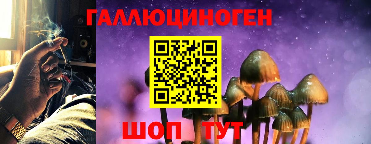 Галлюциногенные грибы Magic Shrooms  Малоярославец  Псилоцибиновые грибы MAGIC MUSHROOMS 