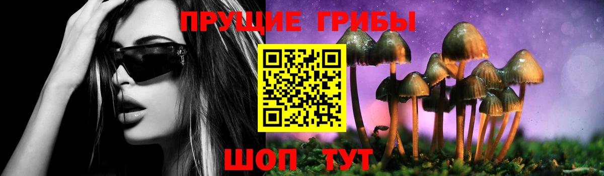 Псилоцибиновые грибы Psilocybine cubensis Малоярославец